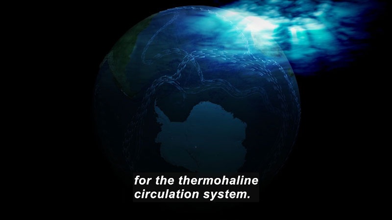View of Earth from space. Caption: for the thermohaline circulation system.