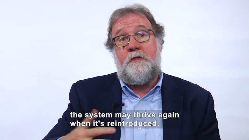 Man, with glasses in a suit jacket and button up shirt. Caption: the system may thrive again when it's reintroduced.
