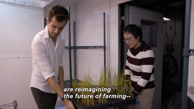 Two people moving a flat of plants. Caption: are reimagining the future of farming --