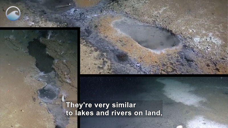 Depressions in the sea floor with noticeably different liquid in them. Caption: They're very similar to lakes and rivers on land.