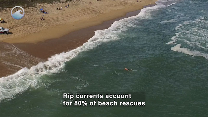 Aerial view of a shoreline with a person body surfing and more people on the beach. Caption: rip currents account for 80% of beach rescues