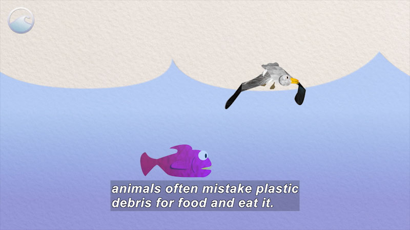 Artwork of a bird and fish. Caption: animals often mistake plastic debris for food and eat it. 