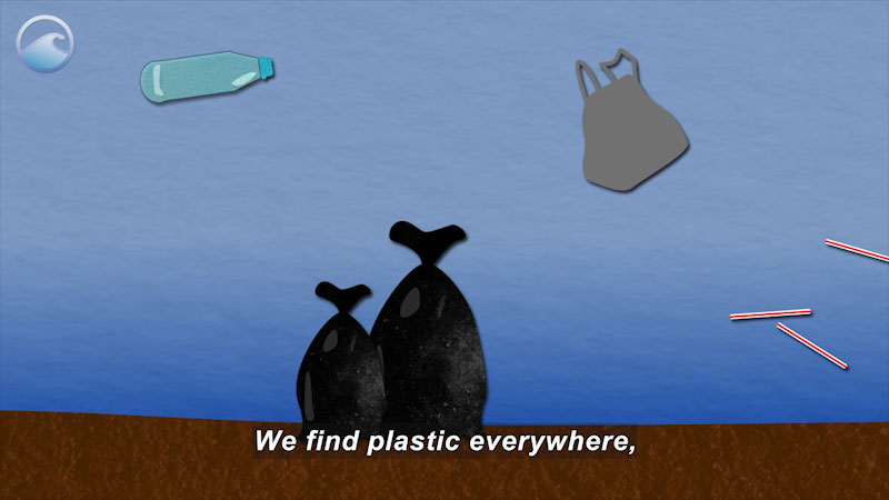 Artwork of plastic water bottle, trash bags, straws, and plastic bag. Caption: We find plastic everywhere,