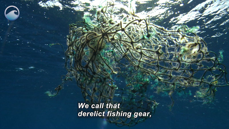 A net floating in water tangled in plastic. Caption: We call that derelict fishing gear,