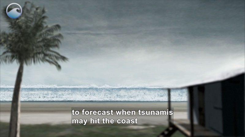 Palm tree and house out of focus in foreground, wall of water from the ocean in focus in the background. Caption: to forecast when tsunamis may hit the coast