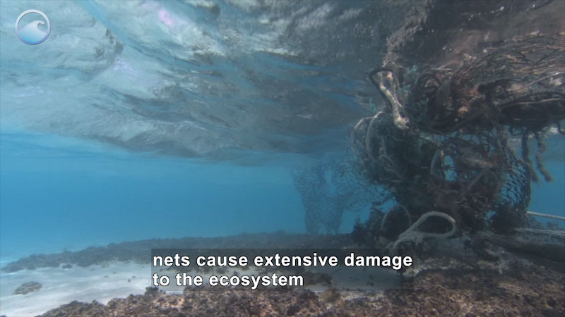 Underwater view of tangles of nets floating stationary. Caption: nets cause extensive damage to the ecosystem