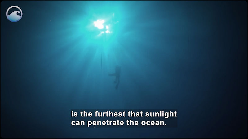 Still image from The Mesophotic Zone