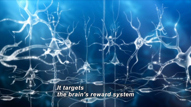 Illustration of nerve cells and the connections between them. Caption: It targets the brain's reward system