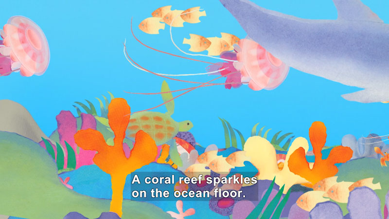 Illustration of a coral reef with other sea life swimming above. Caption: A coral reef sparkles on the ocean floor.