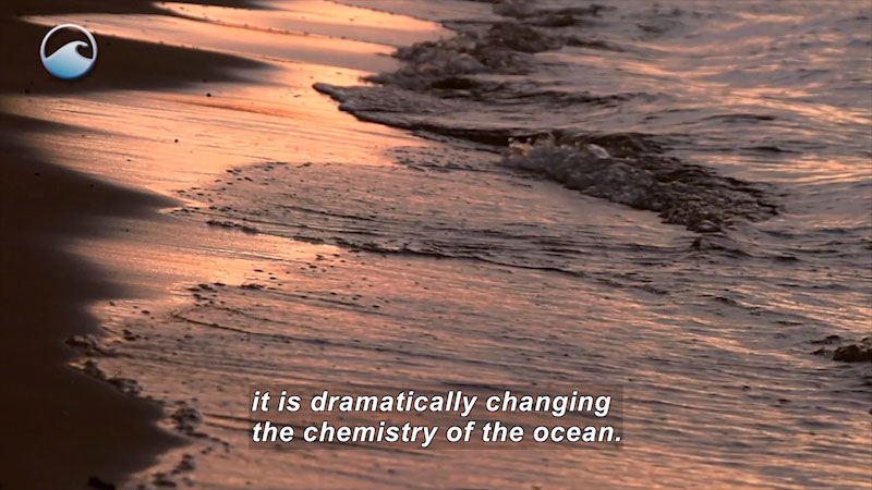 Close up of waves on the shore. Caption: it is dramatically changing the chemistry of the ocean.