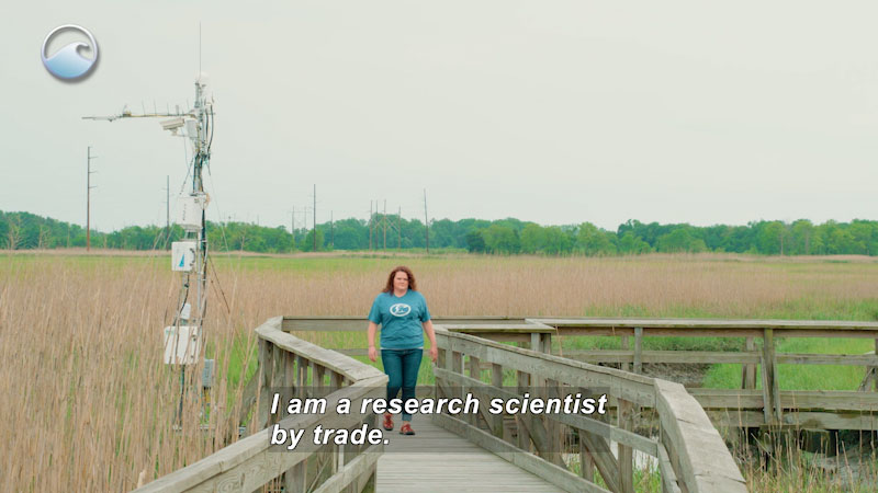 A woman walking on a board walk. Caption: I am a research scientist by trade. 
