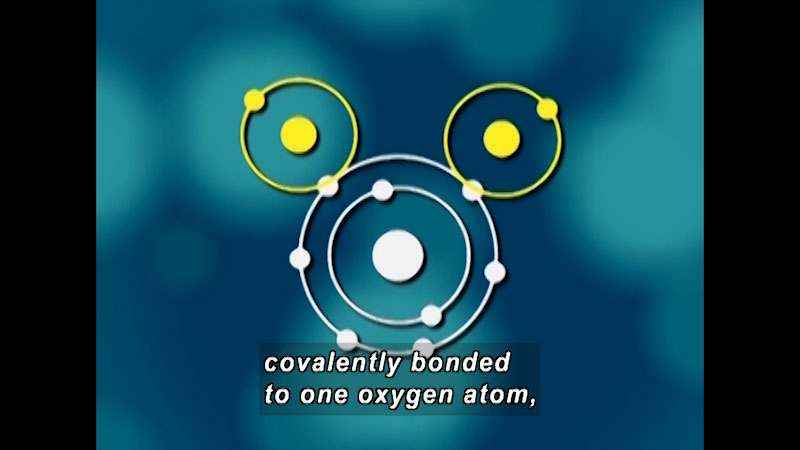 One central atom with two smaller atoms each attached to an electron on the outer ring of the central atom. Caption: covalently bonded to one oxygen atom,