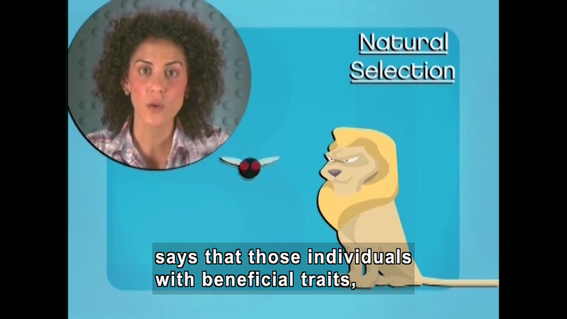 A person speaking. Illustration of a lion and a flying insect. Natural Selection. Caption: says that those individuals with beneficial traits,