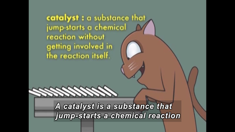 Illustration of a cat knocking over stacked dominoes that then fall as one hits the next. Caption: A catalyst is a substance that jump-starts a chemical reaction without getting involved in the reaction itself.