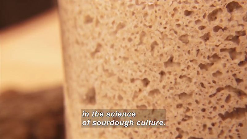 Closeup of sponge-like light brown substance. Caption: in the science of sourdough culture.