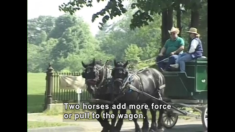 People riding on a wagon pulled by two horses. Caption: Two horses add more force or pull the wagon.