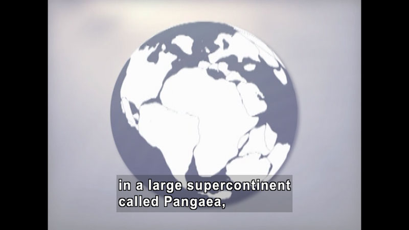Illustration of Earth with a large landmass in the central part of the globe. Caption: in a large supercontinent called Pangaea,