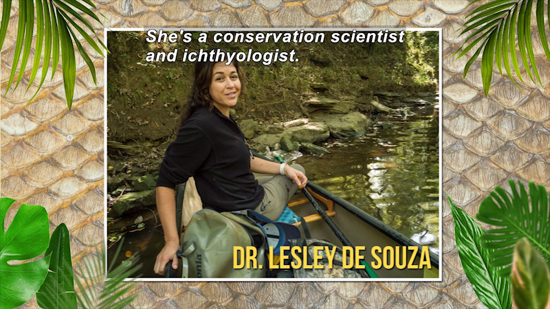 Person sitting in the bow of a canoe that is butted up against a riverbank. Dr. Lesley De Souza. Caption: She's a conversation scientist and ichthyologist.
