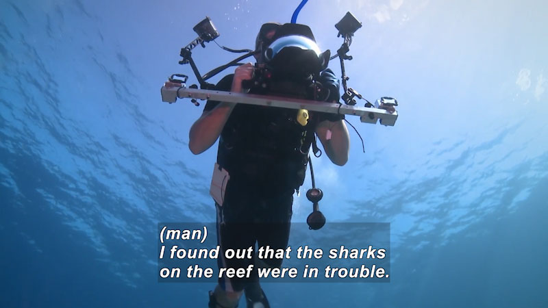 Person in scuba gear with scientific equipment as seen from below. Caption: (man) I found out that the sharks on the reef were in trouble.