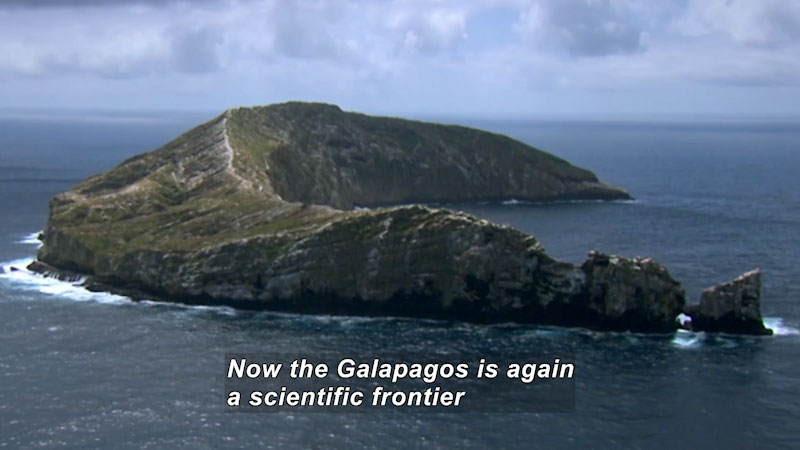 Curving "C" shaped island with sharply elevated sides. Caption: Now the Galapagos is again a scientific frontier