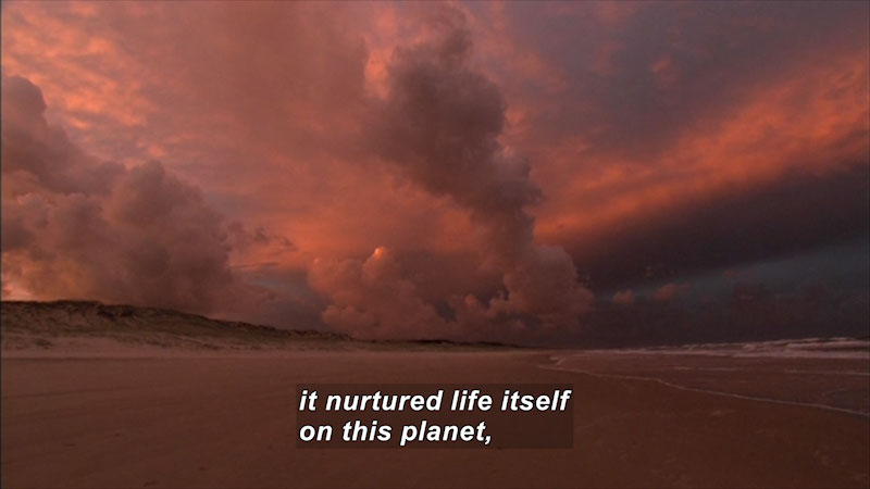Beach at sunset with waves lapping on the shore. Caption: it nurtured life itself on this planet,