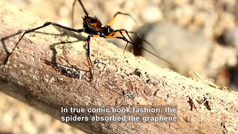Still image from Uno Dos of Trace: Could Bioengineered Spider Silk Get Us a Space Elevator?
