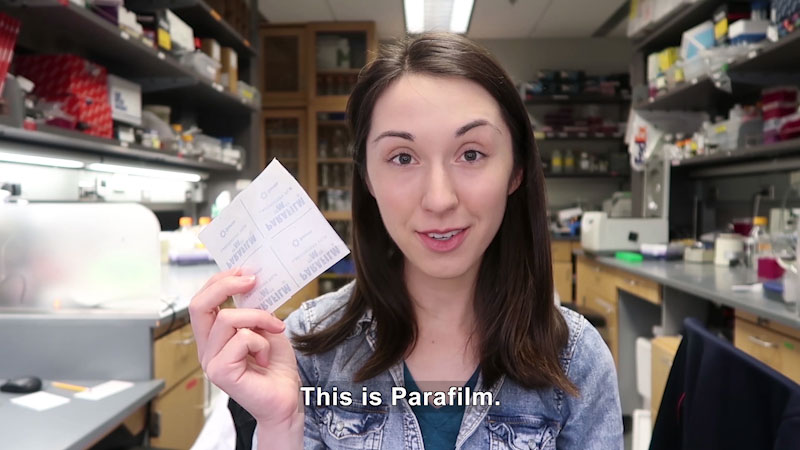 Still image from Parafilm: What Is This Thing?!
