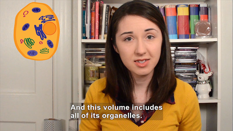 Still image from Mitochondrial DNA: Bite Sci-zed