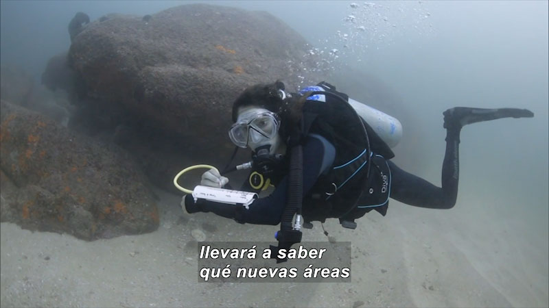 Still image from Inside the Sea: Marine Reserve Network (Spanish)