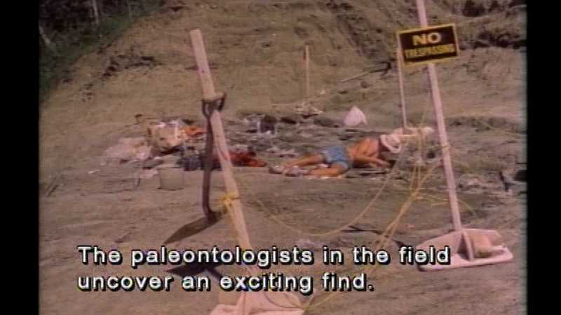Person laying on the ground with tools and buckets spread around them. No Trespassing sign. Caption: The paleontologists in the field uncover an exciting find.