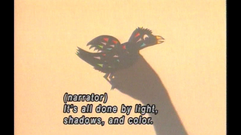 Shadow of an arm ending in a colorful bird. Caption: (narrator) It's all done by light, shadows, and color.
