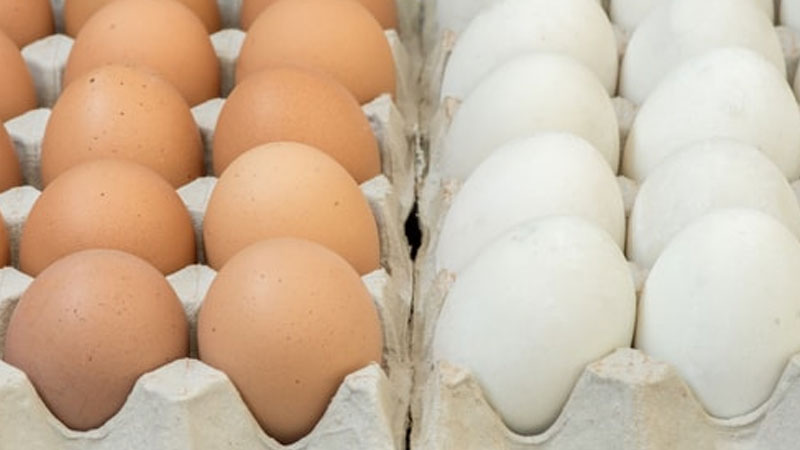 Still image from Eggs