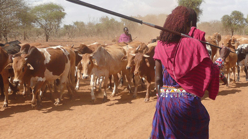 Still image from Kenya: The Masai Homeland