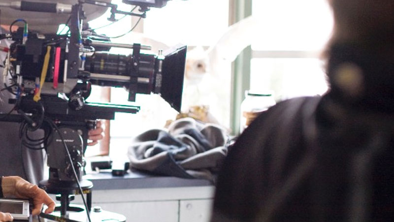 Still image from The Hollywood Style