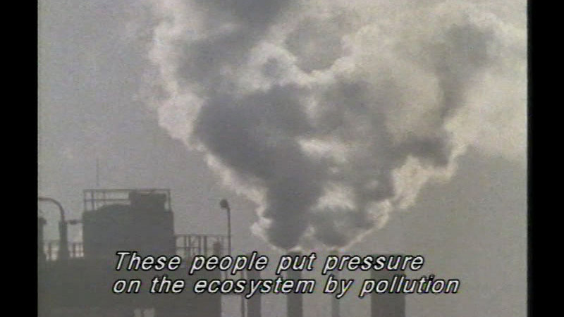 Industrial plant with plumes of smoke billowing into the sky from exhaust pipes. Caption: These people put pressure on the ecosystem by pollution