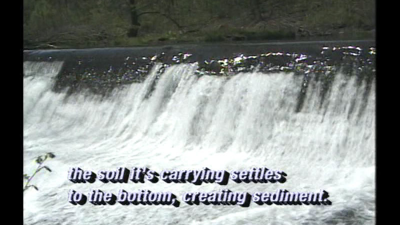 Still image from Everyday Is Earthday On The Farm