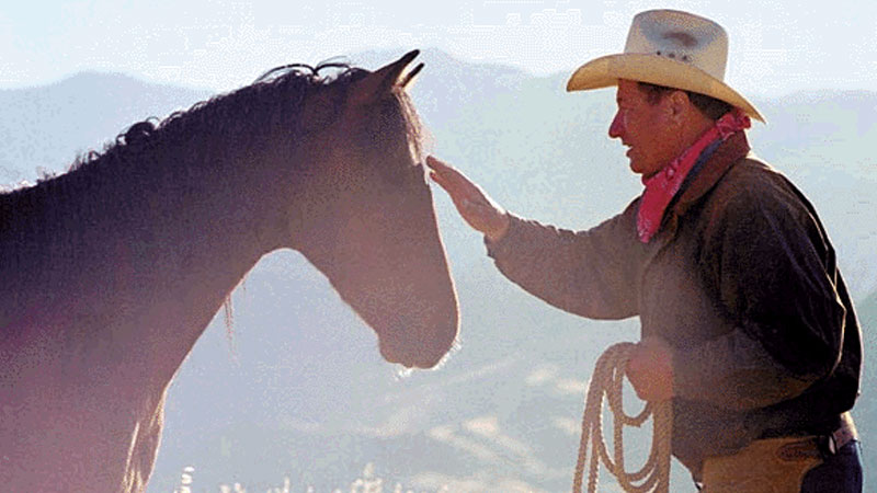 Still image from Look Who's Talking... How Animals Communicate