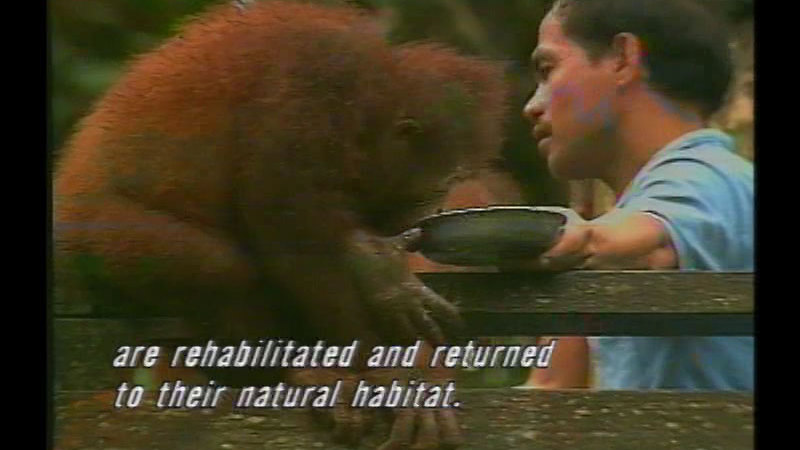 Still image from Singapore And Malaysia