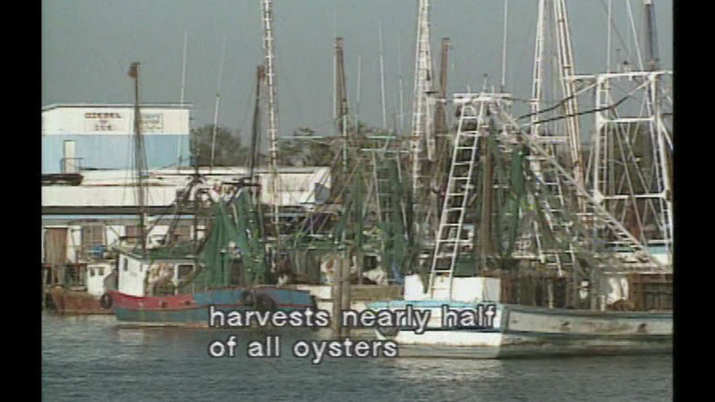 Still image from Mississippi River Region