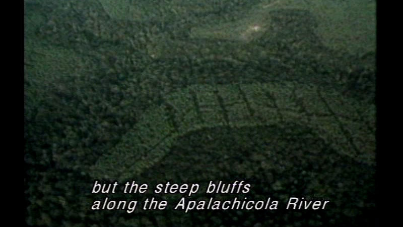 Still image from Nature's Delicate Balance