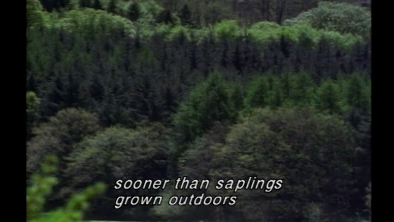Still image from Non-Food Crops