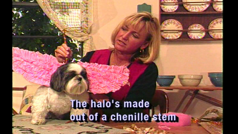 Still image from Pet Crafts Video Vol. 1