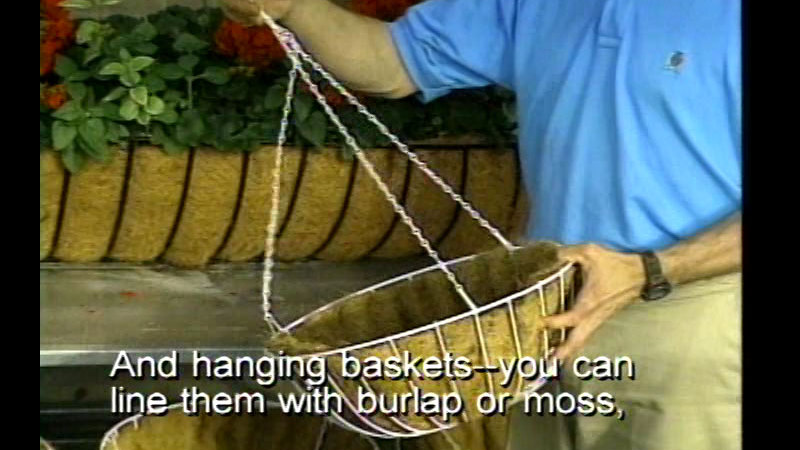 A person holding a white metal hanging basket lined with moss. Caption: And hanging baskets -- you can line them with burlap or moss,
