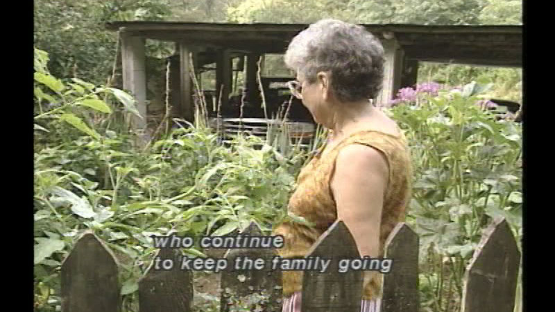 Still image from Family Voices
