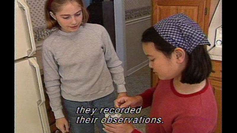 Two young people in a kitchen. Caption: they recorded their observations.