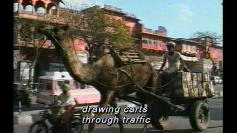 Still image from South Asia: People And Places