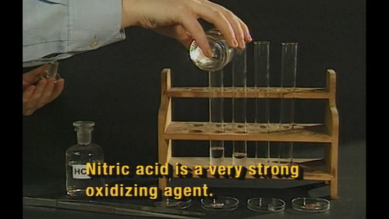 Person pouring clear liquid into 4 beakers. Caption:  Nitric acid is a very strong oxidizing agent.