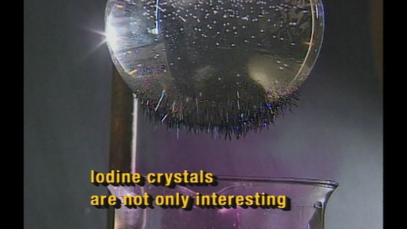 Silvery metallic orb with iridescent spiky crystals adhering to the bottom. Caption: Iodine crystals are not only interesting