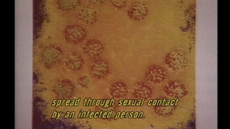Still image from Risky Behavior: What You Do Now May Have Lifetime Consequences