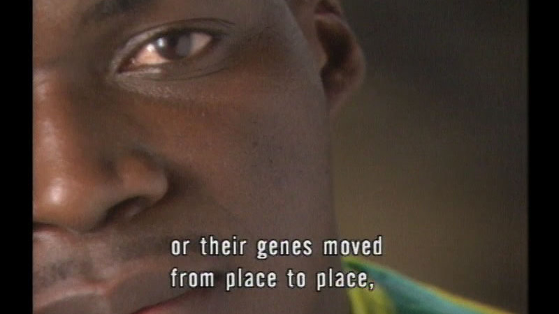 Close up of the face of a person who has dark skin, brown eyes, and a wide nose. Caption: or their genes moved from place to place,